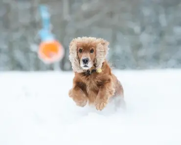 Unapologetic Truths Jack Nicholson’s Daughter Spills About Status-Chasing Celebrities