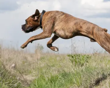 5 Shocking Moments That Made Us Wonder: Did We Lose the Plot at BookCon 2026?