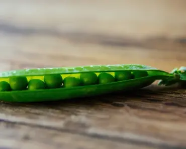 Rachel Reid & Jacob Tierney Drop Bombshells on ‘Heated Rivalry’ Season 2 at BookCon 2026