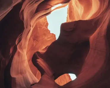 7 Native Plants For Hummingbirds For Low Maintenance Blooms