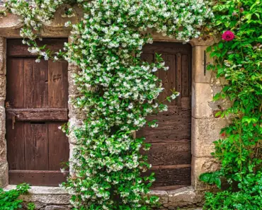 7 Small Entryway Ideas to Make Every Inch Work