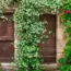 7 Small Entryway Ideas to Make Every Inch Work