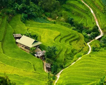 Expert-Backed Steps to Take After Being Sexually Assaulted: A Guide to Healing and…