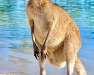 Kate Moss Just Wore the 13 Least-Practical Shoes to the Airport