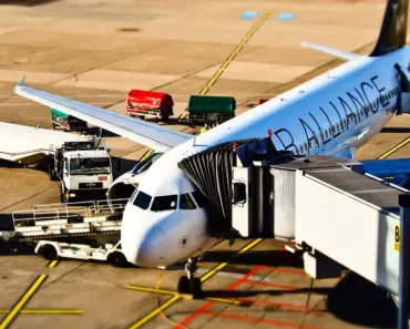 “7 Airport Looks from Celebs Like Sarah Pidgeon That Include Comfy Flats”