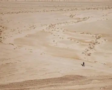 “7 Ways to Stay Ahead of New Episodes Release Dates”