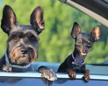 The Best Amazon Deals to Shop Today (Updated Daily)