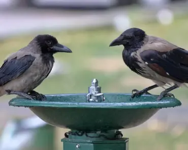 7 Surprising Reasons Why Your Kid Might Be The Only One Still Doing Chores