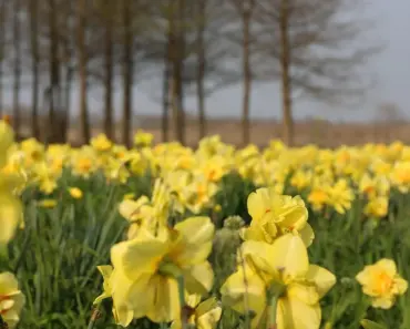 Scarlett and Cole’s Shocking Reunion: 5 Answers About Their Relationship After Temptation…