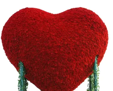 13 Unique Mother’s Day Gift Ideas to Make Her Feel Loved and Cherished in 2026