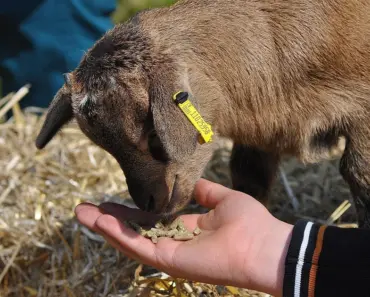 “Nourish Their Soul: 9 Meals to Bring to Friends Who Need a Boost”