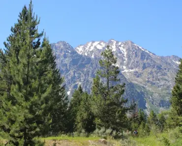 Jennie’s Coachella Look Is Bringing Back the Oversized Sunglasses Trend