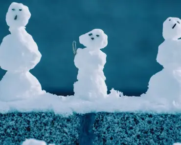 Creative Decorating Ideas With Books