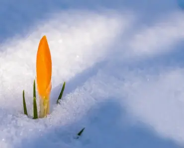 10 Spring Decorating Ideas that Shine with Light Colors and Soft Lines