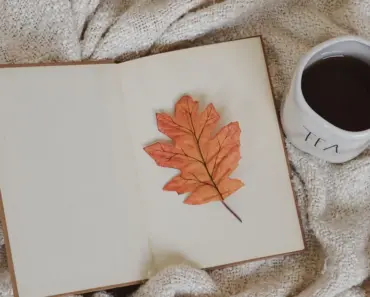 Top 7 Tempting Zara New Arrivals That Will Sell Out Before You Know It