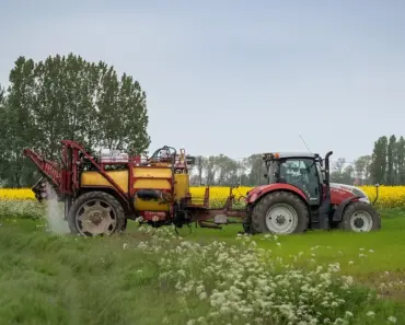 Tried the Top 3 Most Effective DIY Weed Killers That Actually Work