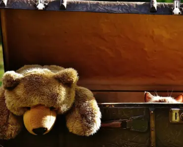 7 Hidden Ways Women Are Forced to Carry the Burden of Male Infertility