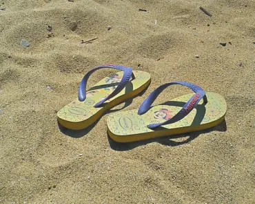 7 Colorful Havaianas Flip Flops Taking Over Summer Fashion