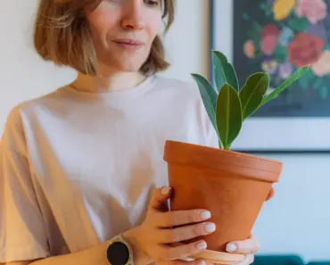 Cute & Affordable DIY Using Dollar Tree Bowls Cute & Affordable DIY Using Dollar Tree Bowls