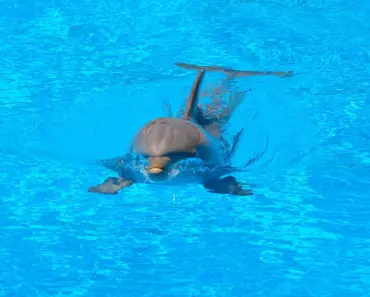 What Clutter Does to Your Brain