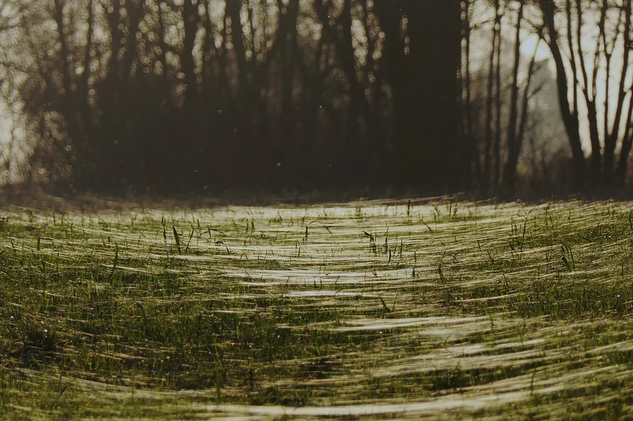 8 Shimmering Body Oil That Looks Expensive, Not Tacky Azuloz Highlight