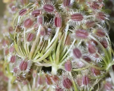 Anne Hathaway Wore the Dated Jeans Trend That’s Fully Back