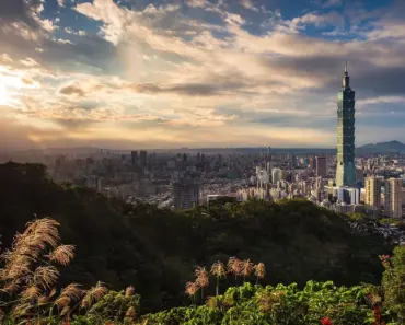 Do This One Thing To Your Hydrangeas In April For Stunning Blooms