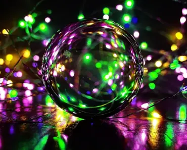 7 Magic Ingredients to Make Hanging Baskets Thrive with Zero Maintenance