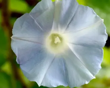 Every Jaw-Dropping Orange Carpet Look at the 2026 WNBA Draft