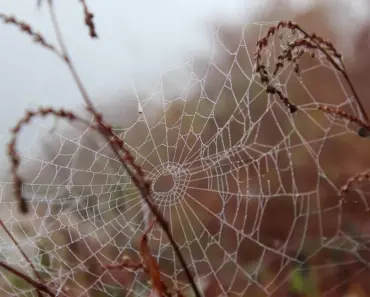 13 Scary Books You Shouldn’t Read Unless You Own A Nightlight