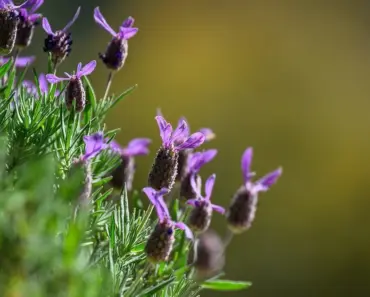 9 Zara Essentials That Will Sell Out This Spring Season