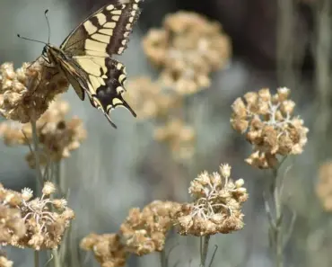 7 Surprising Reasons Why Kids Still Refuse to Do Chores and How to Get Them On Board
