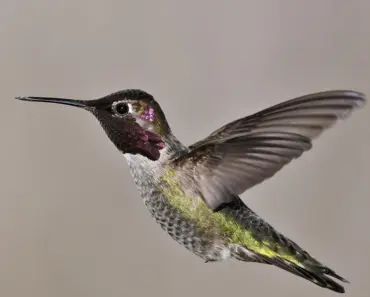 Anna Wintour & Meryl Streep Together on the Cover of Vogue Is the Definition of Iconic