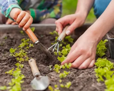 Repurpose An Old Mason Jar Lid Into A Practical Item For Your Garden Repurpose An Old Mason Jar Lid Into A Practical Item For Your Garden