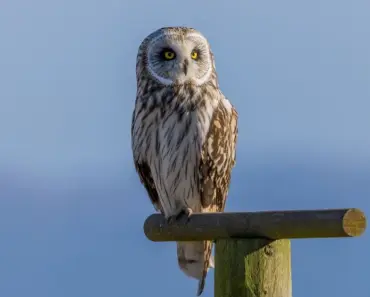 40 Short and Sweet: One Syllable Names for Your Boys and Girls