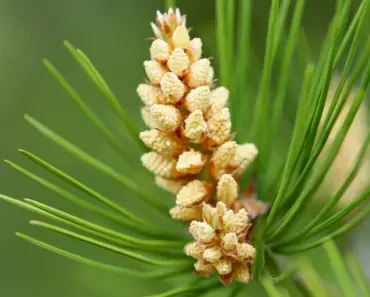 7 Jaw-Dropping Moments Caught by Lip Reading Amanda Batula’s Chat with West Wilson at the…