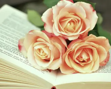 16 New Books That Should Absolutely Be On Your Radar In 2024