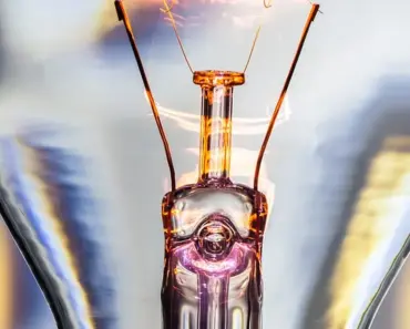 5 Show-Stopping Summer Bulbs That Can Survive Your Neglect