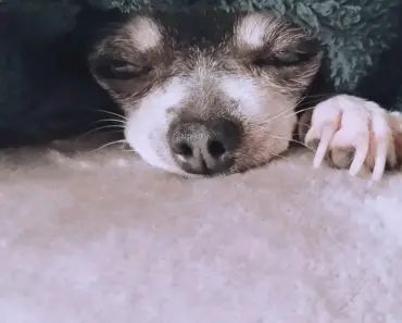 Lucy Liu Steals the Show in a Barely There Naked Dress at ‘The Devil Wears Prada 2’…