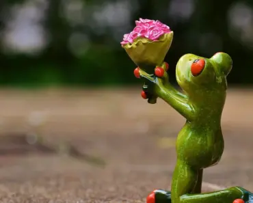 Your Empty Wine Bottles Are a Genius Garden Watering Hack