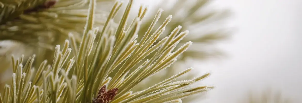 7 Unforgettable Stories of How Celebrities Met and Started Dating