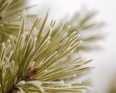 7 Unforgettable Stories of How Celebrities Met and Started Dating