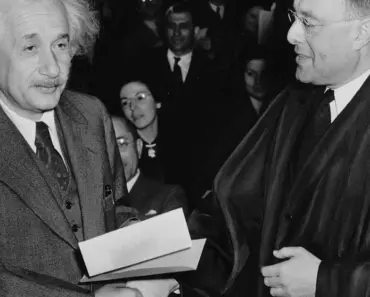 11 Genius IKEA Hacks to Create the Perfect Patio Privacy Screen with a Plant Stand