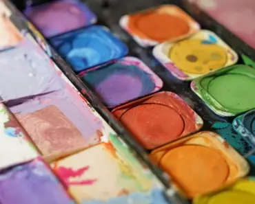 7 Dreamy Color Planting Palettes to Transform Your Modern Garden into a Vibrant Oasis