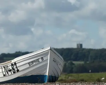 Sophie Blackall Reveals 13 Hidden Gems in Her Favorite Picture Books