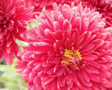 Miley Cyrus’s Jaw-Dropping Hannah Montana Makeup Transformations: 5 Unrecognizable Looks