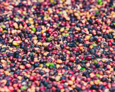 13 Encouraging Verses for Moms