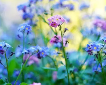Forget Paint: There’s An Easier Way To Give Dated Countertops A Chic Refresh