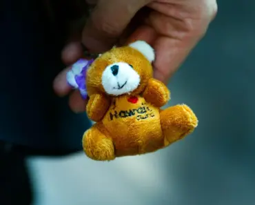 This Affordable Aldi Bird Feeder Feeds Birds In An Oddly Satisfying Way