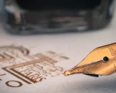 5 Creative Ways to Grow Stunning Bouquet Fillers from Dried Chickpeas